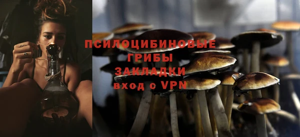 молекула духа Армянск